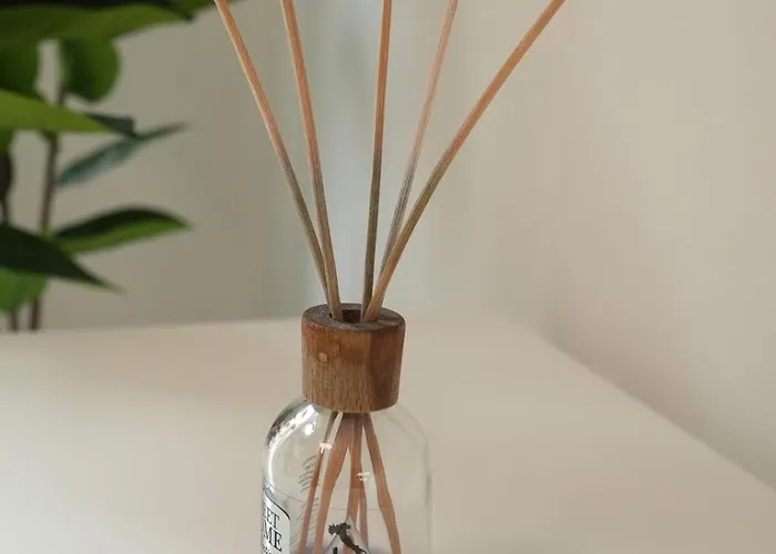 Luxury Paoli 19 Affittacamere 3*